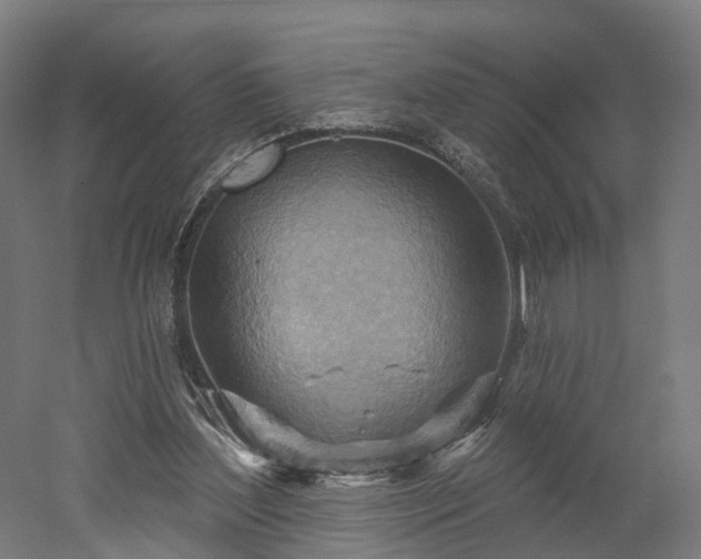 X0000052930204200507151625