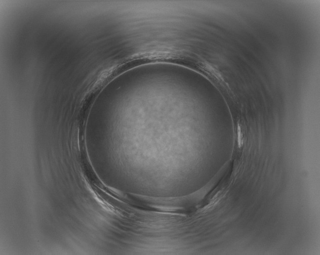 X0000052930205200507151625