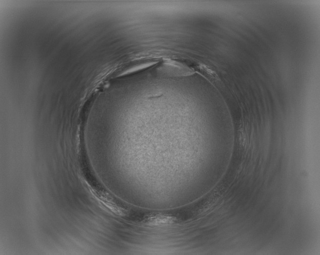 X0000052930206200507151625