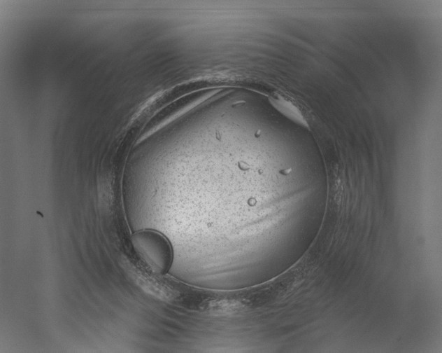 X0000052930208200507151625