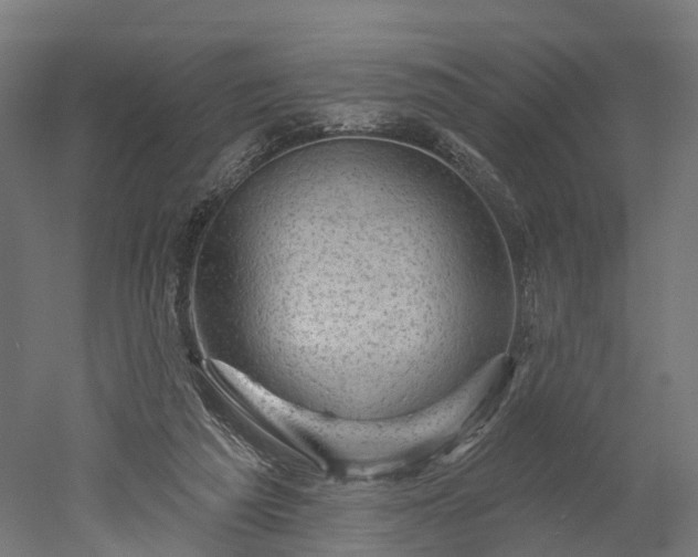 X0000052930209200507151625