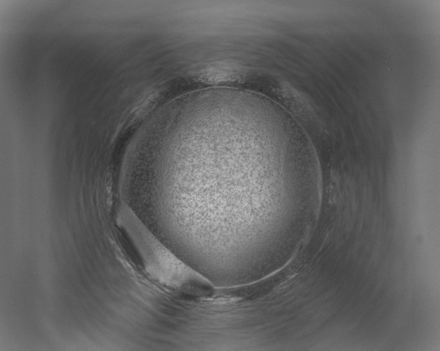 X0000052930210200507151625