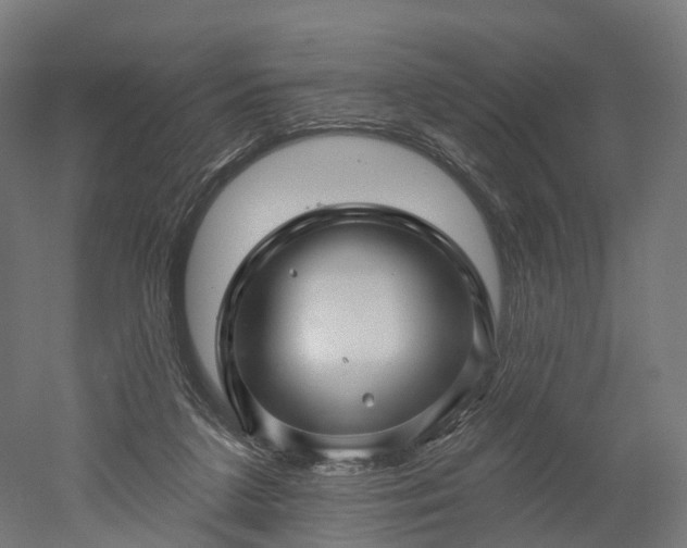 X0000052930211200507151625