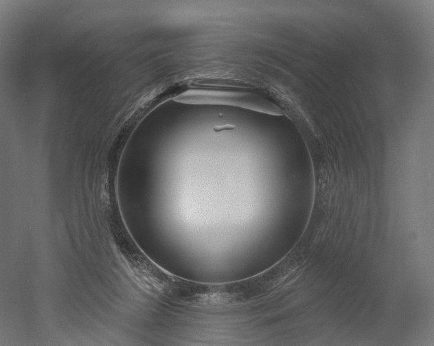 X0000052930212200507151625