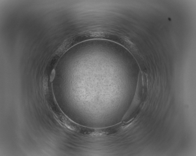 X0000052930213200507151625