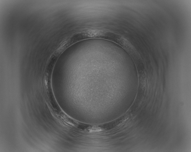 X0000052930214200507151625