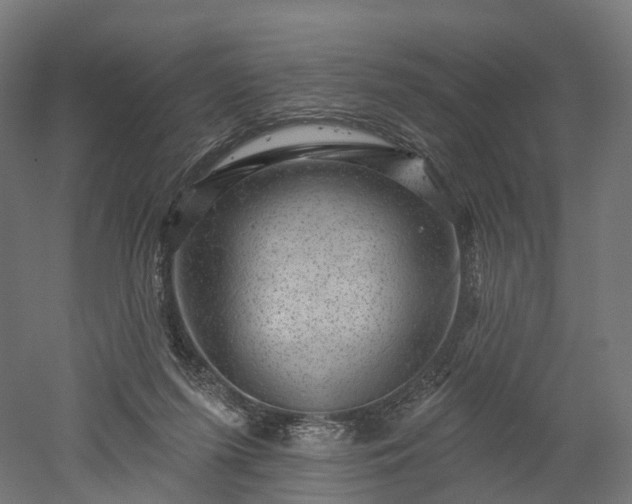 X0000052930215200507151625