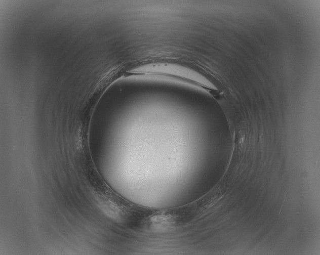 X0000052930216200507151625