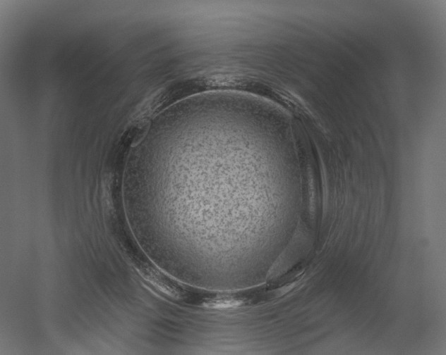 X0000052930217200507151625