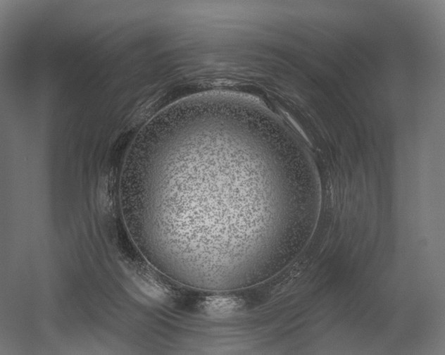 X0000052930218200507151625