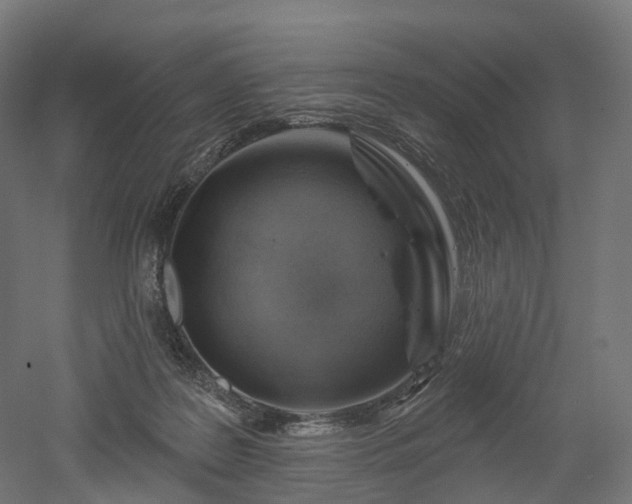 X0000052930219200507151625