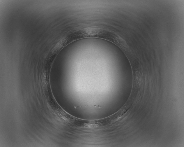 X0000052930220200507151625