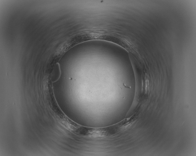 X0000052930221200507151625