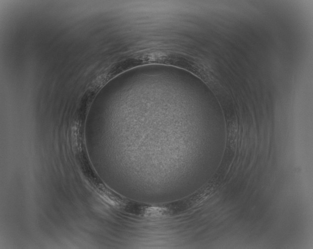 X0000052930222200507151625