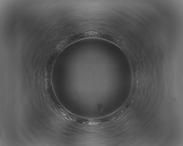 X0000052930223200507151625