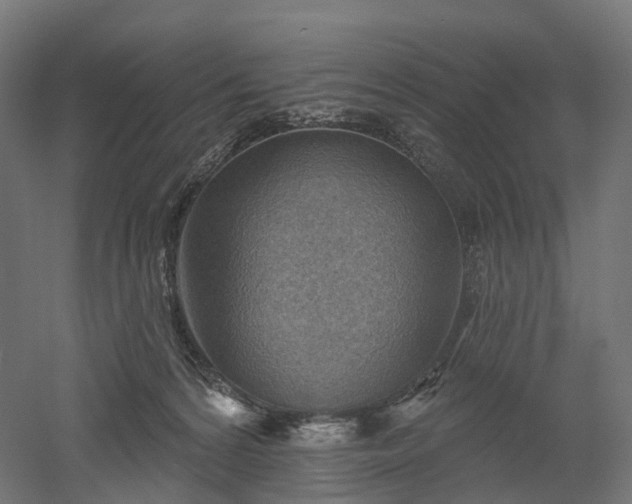 X0000052930224200507151625