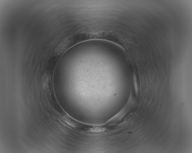 X0000052930225200507151625