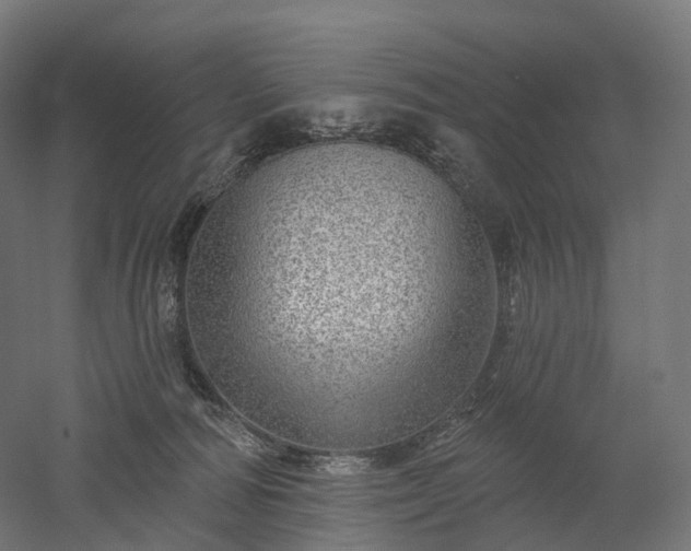 X0000052930226200507151625