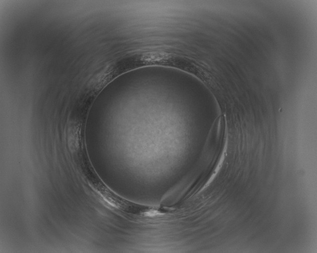 X0000052930227200507151625