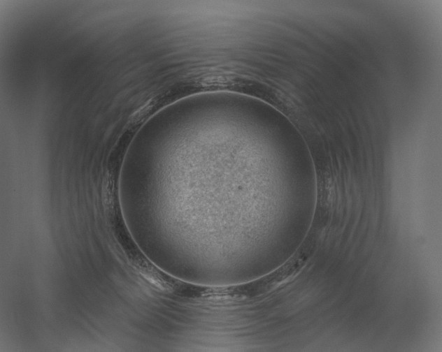 X0000052930228200507151625