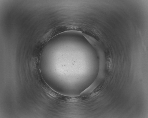 X0000052930229200507151625