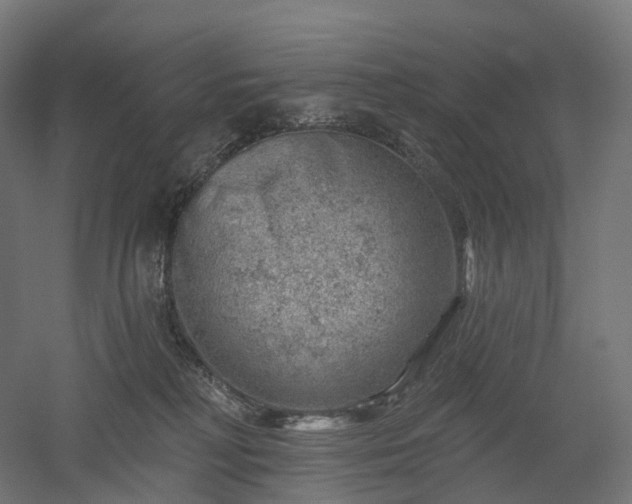 X0000052930230200507151625