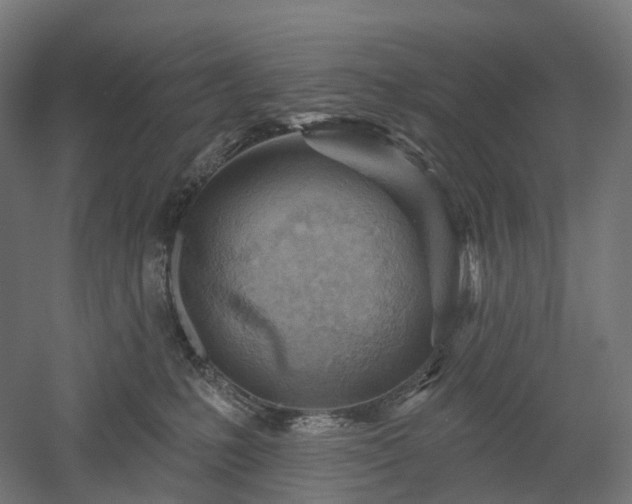 X0000052930231200507151625