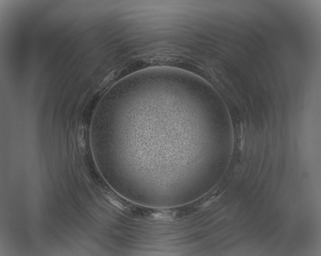 X0000052930232200507151625