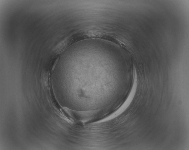 X0000052930233200507151625