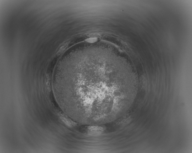 X0000052930234200507151625