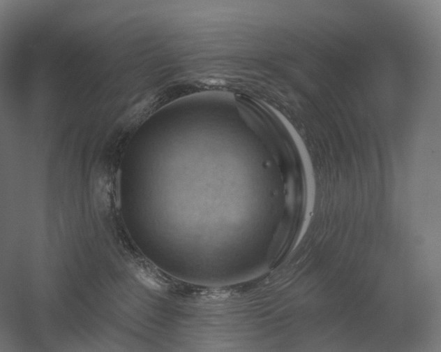 X0000052930235200507151625