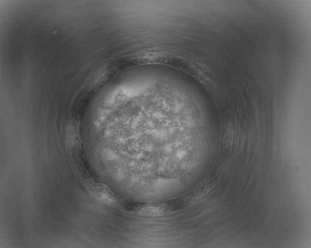 X0000052930236200507151625