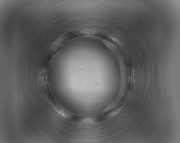 X0000052930237200507151625