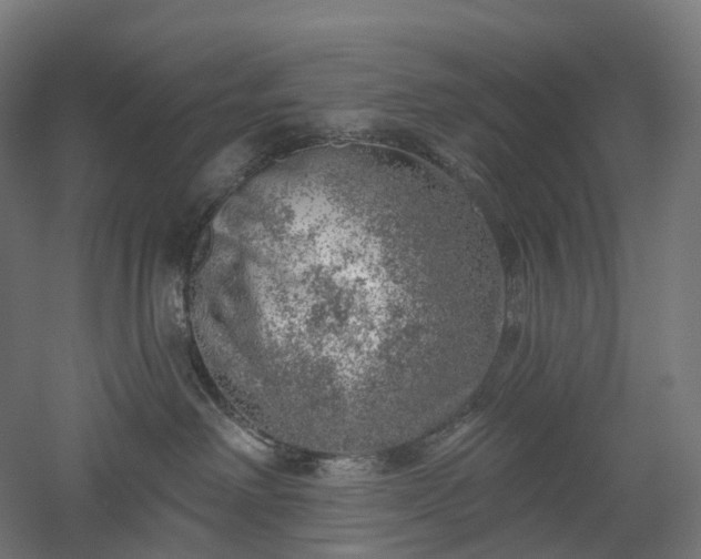 X0000052930238200507151625