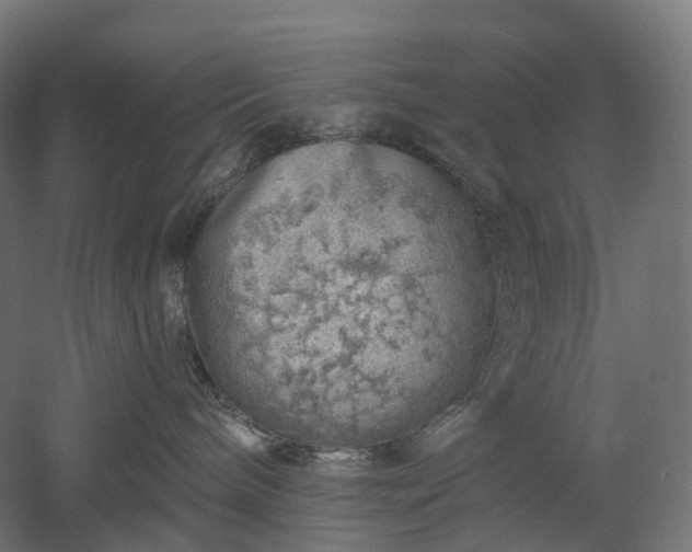 X0000052930240200507151625