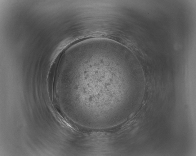 X0000052930242200507151624