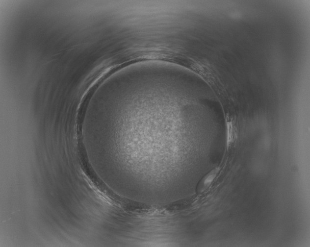 X0000052930243200507151624