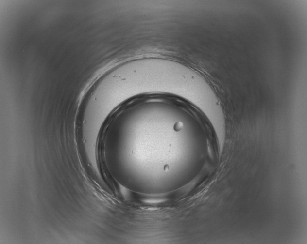 X0000052930244200507151624
