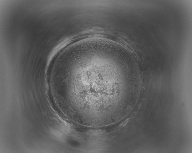 X0000052930245200507151624