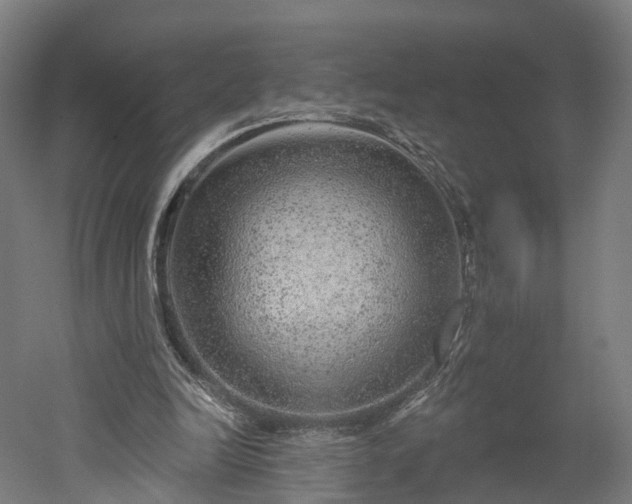 X0000052930246200507151624