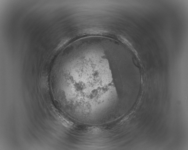 X0000052930249200507151624