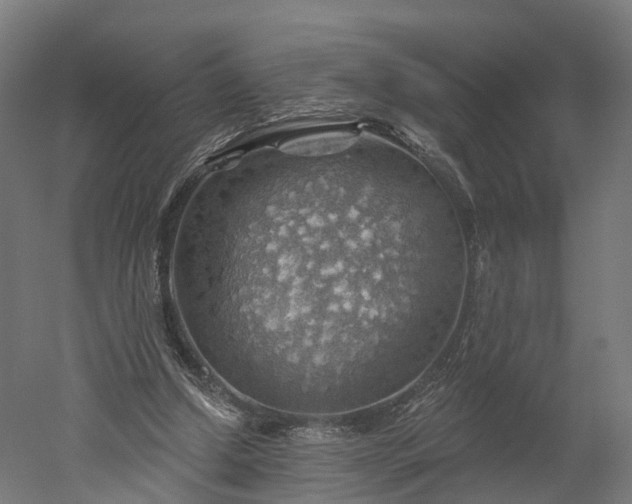 X0000052930250200507151624