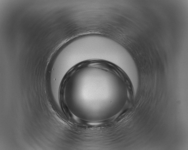 X0000052930252200507151624