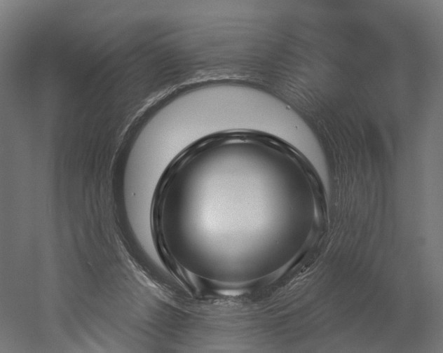 X0000052930256200507151624