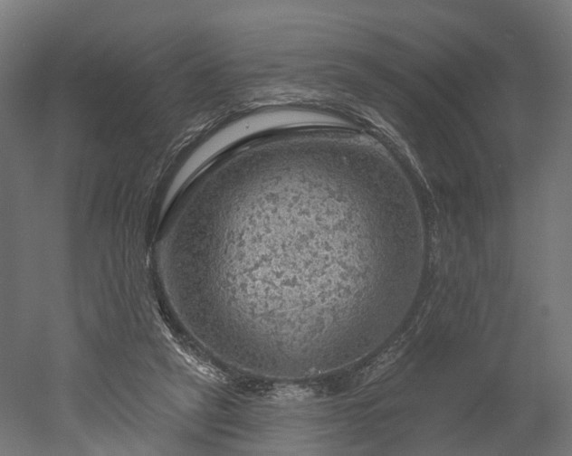 X0000052930257200507151624