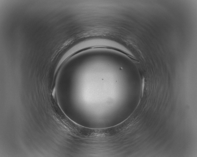 X0000052930260200507151624