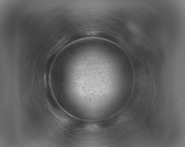 X0000052930262200507151624