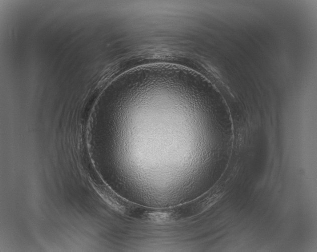 X0000052930265200507151624