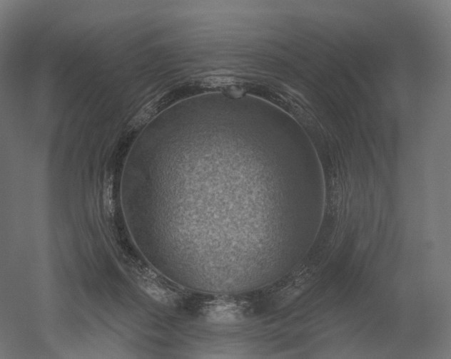 X0000052930267200507151624