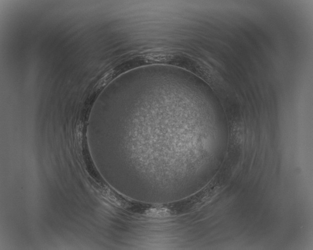 X0000052930271200507151625